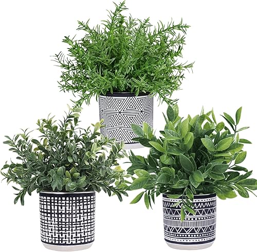 Winlyn Set of 3 Small Potted Plants Artificial Eucalyptus Rosemary Boxwood Plants in Black and White Geometric Pots for Table Centerpiece Kitchen
