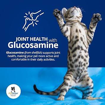 PROTHRIVE Spunky Digestive Supplement - Probiotics, Digestive Enzymes, Joint Support for Cats and Dogs | Pet Probiotics for Dogs and Cats - 8oz