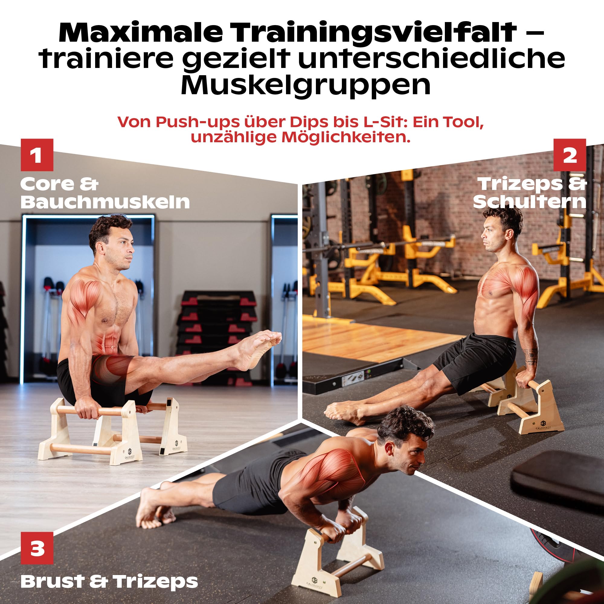Calibarzz Parallettes & Liegestützgriffe aus Holz [3 Höhen] Push up Bars - Handstand Griffe - Dip Bars | Calisthenics Equipment für Home Workout und Outdoor