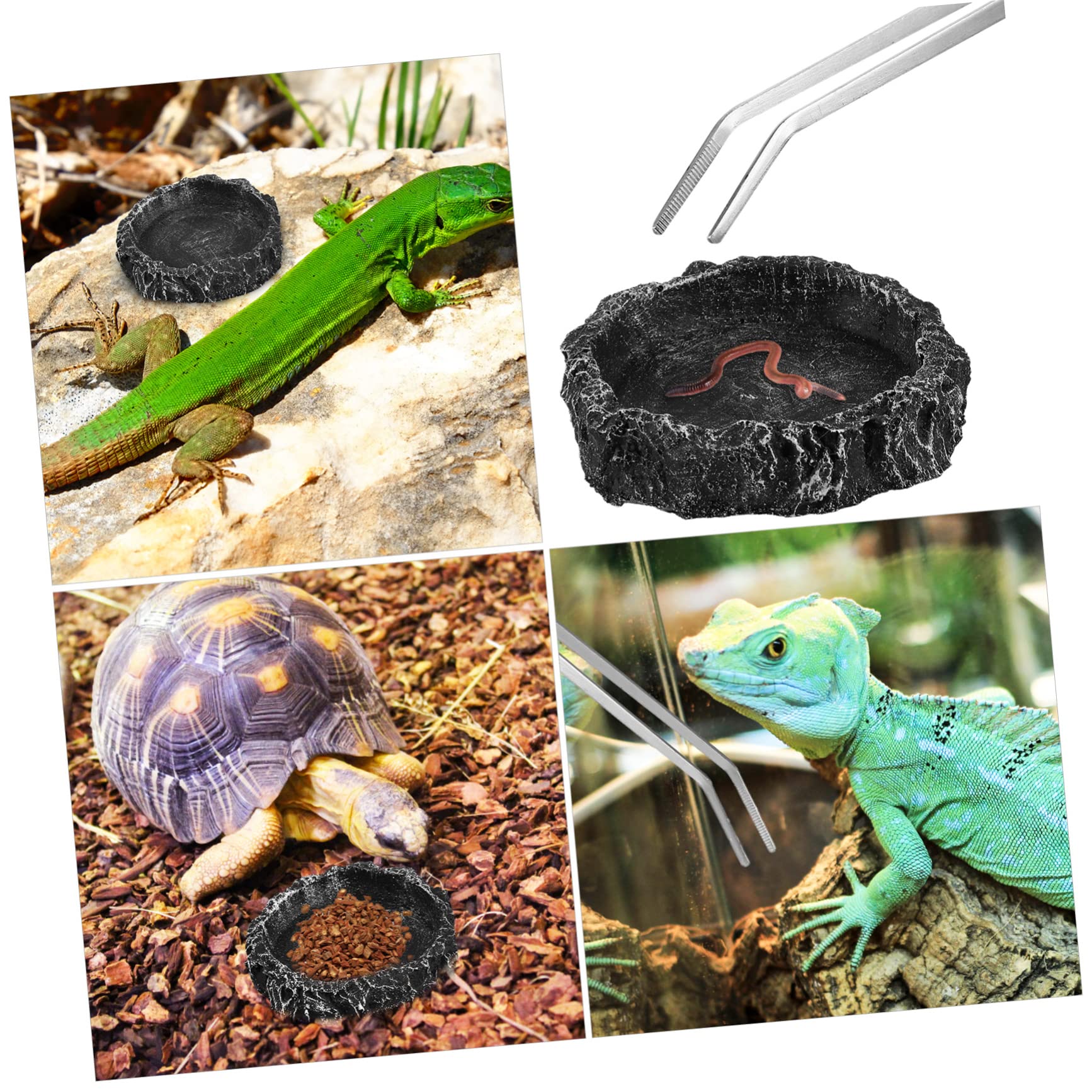 GALPADA 2 Pcs Reptile Water Bowls Feeding Dishes for Tortoise Lizard Gecko Frog Snake Tong Easy Clean with Simulated