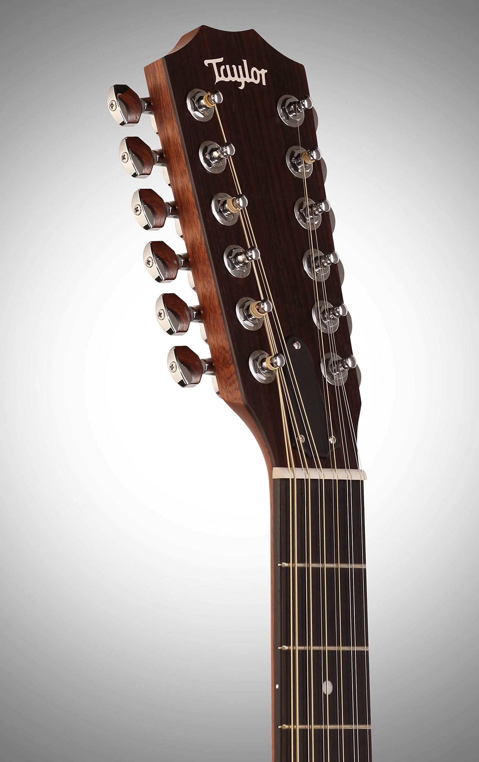 Taylor chitarra western 150E