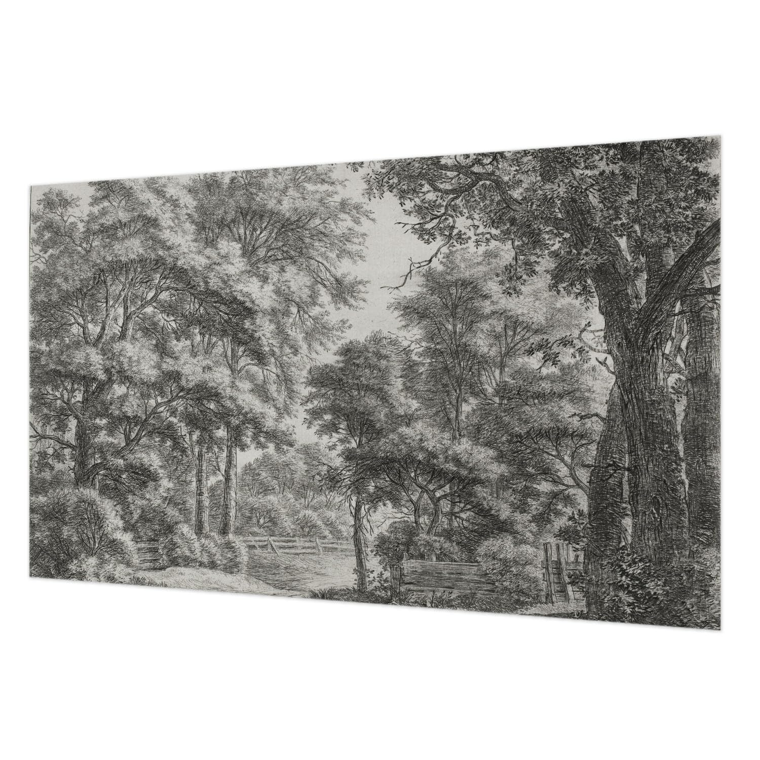 Papier peint mural intissé 416x254 cm avec colle incluse pour décoration de salon