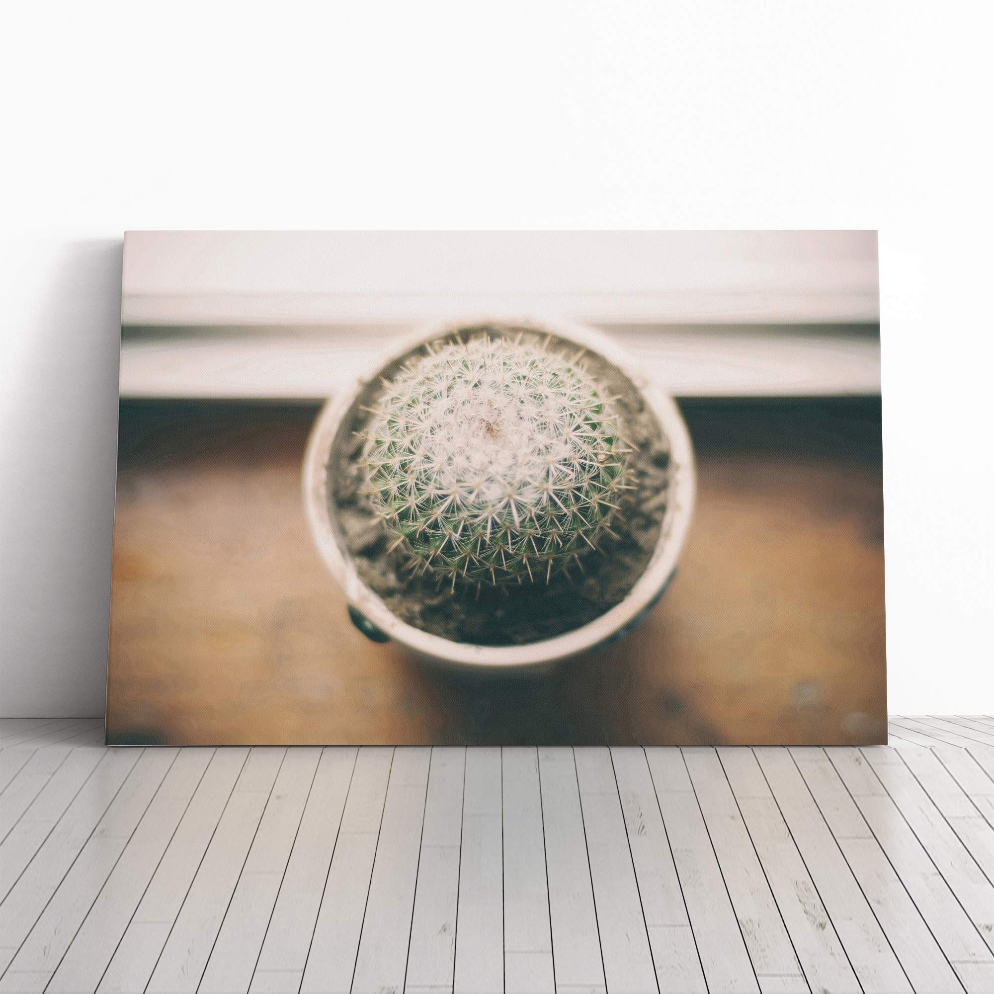 Flower Cactus Cacti Canvas Print | Gallery Wrapped 30mm Frame Wall Art | 24x16 inches | Ready to Hang | Modern Floral Picture | Living Room Bedroom Lounge Office