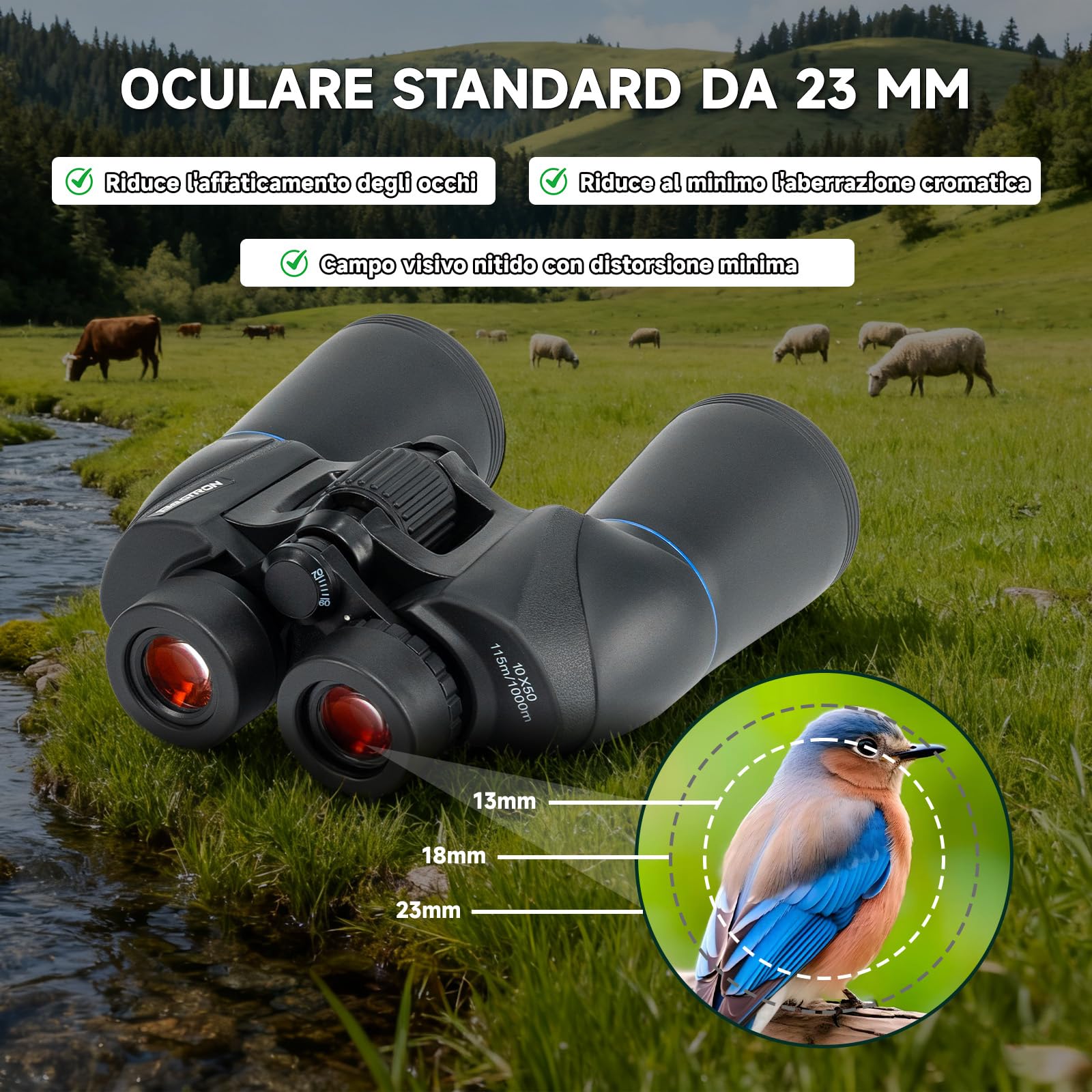 Binocolo 10x50 per Birdwatching e Astronomia - Prismi BAK-4, Lenti FMC, Impermeabile