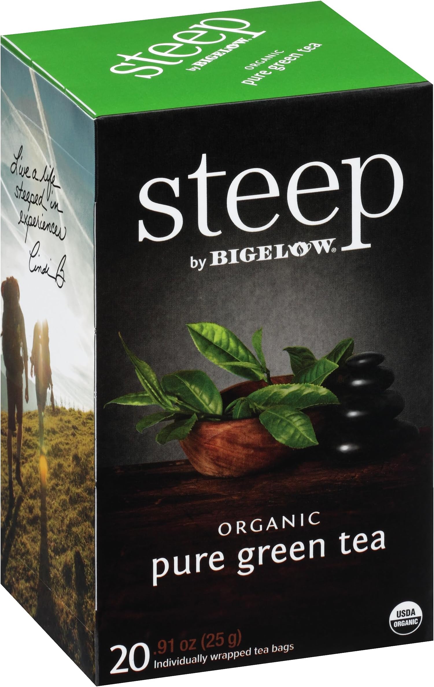 steep Organic Pure Green Tea, Caffeinated, 20 Count (Pack of 6), 120 Tea Bags Total