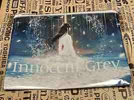 Innocent Grey Art Exhibition 白夜 公式図録&ポーチ Innocent Grey Art Exhibition 白夜 公式図録&ポーチ Innocent