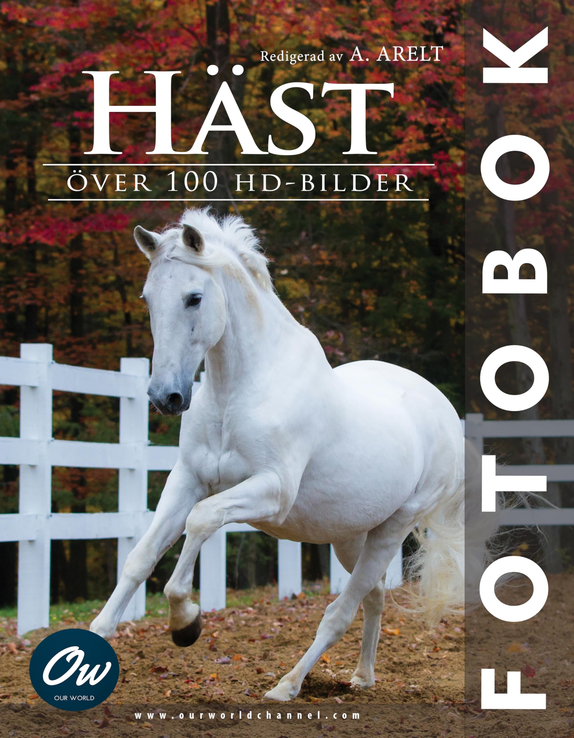 Häst fotobok édition suédoise un bel album photo relié sur les chevaux du Nord