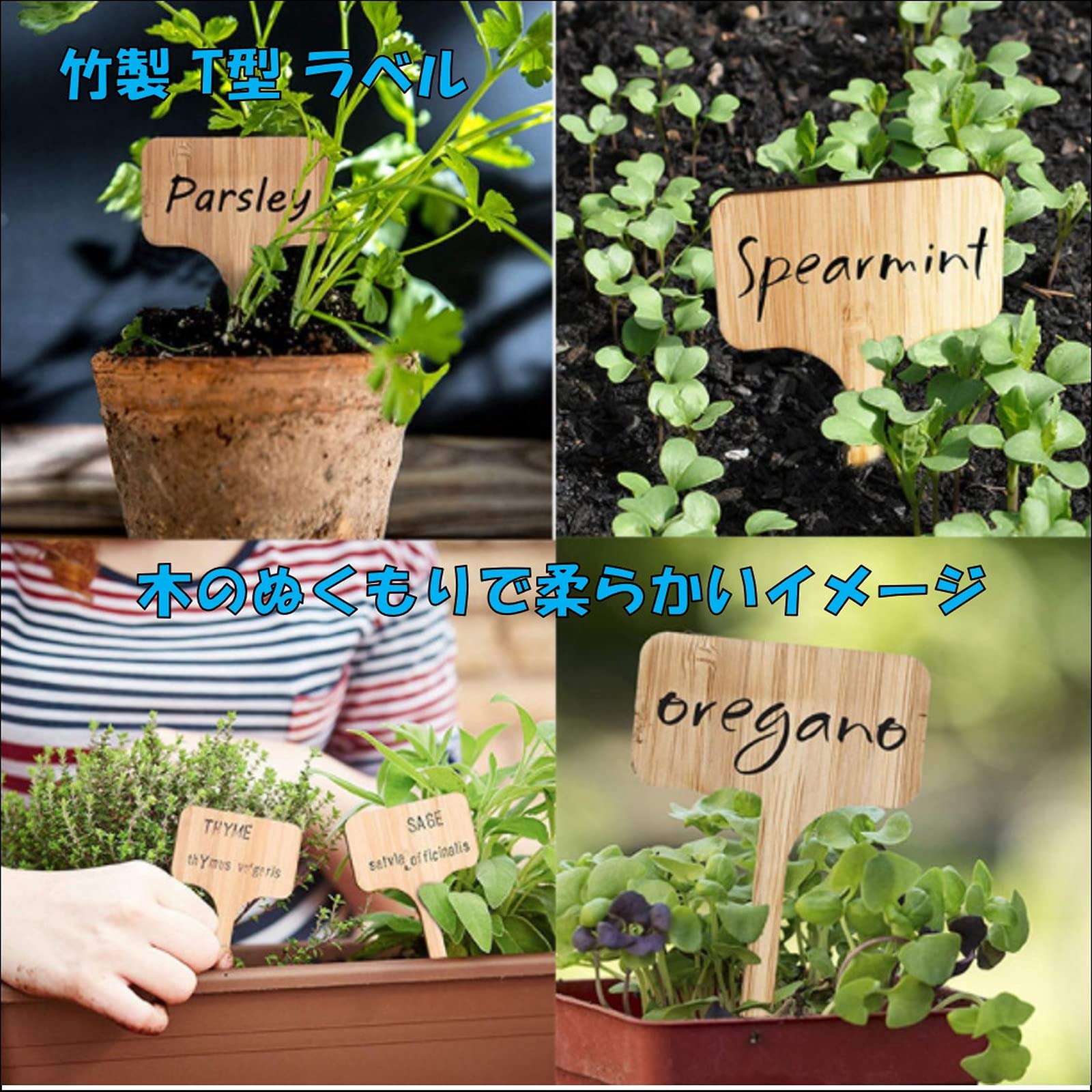 Amazon.co.jp: (ST TS) 木製 園芸用 ラベル 50枚入 植物ラベル 植物用 