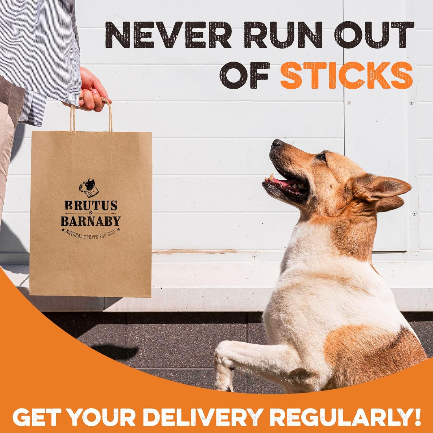 BRUTUS & BARNABY Dehydrated Lung Dog & Cat Treats, 28oz – USA Organ Meat Stick (Beef & Turkey Lung, Liver), High Protein Pet Snack