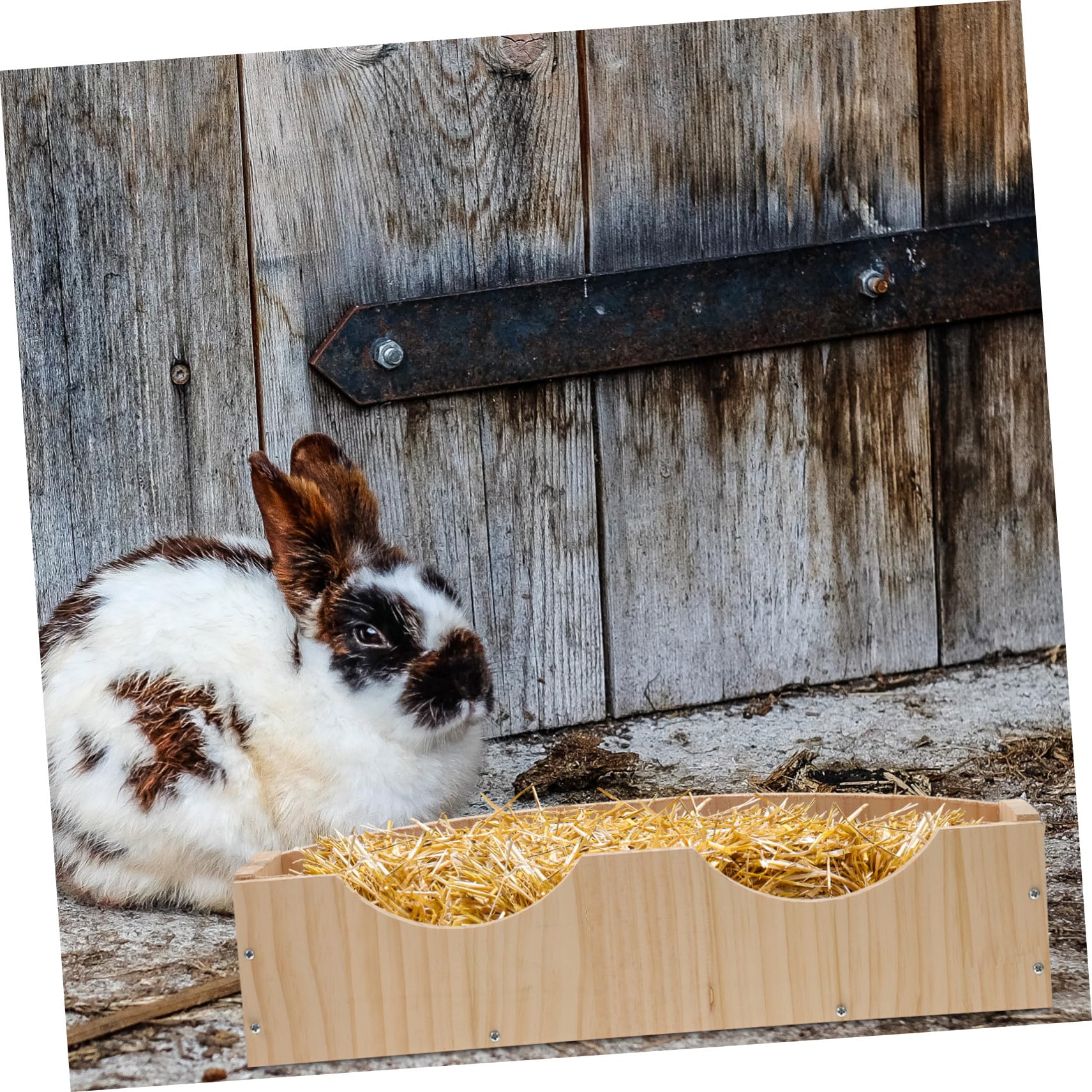 Holz Heuraufe mit Fixator für Meerschweinchen und Hamster Großer Futterspender zum Aufhängen Hält den Käfig Sauber und Ist Langlebig