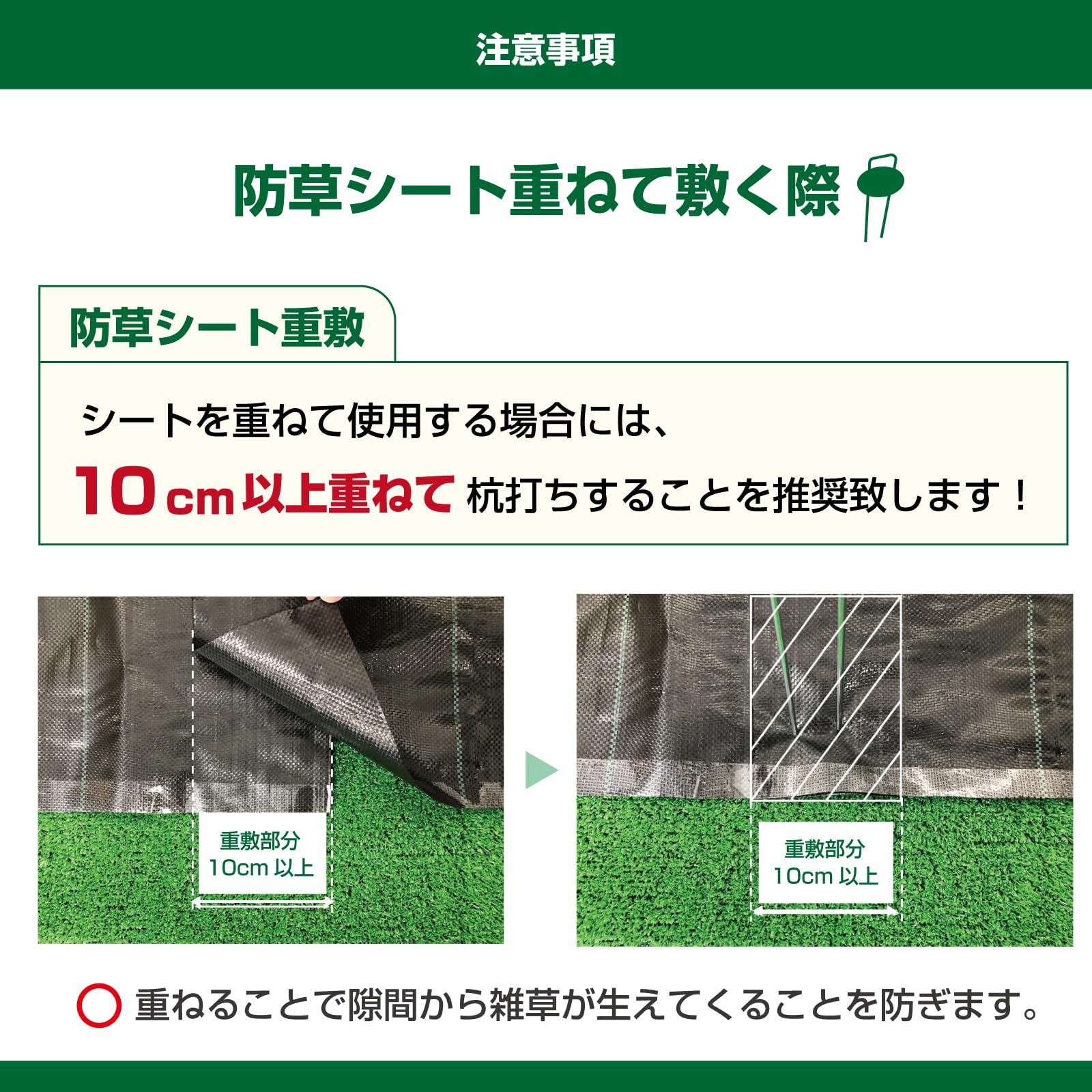 SE 防草シートピン 25cm 200本 ワッシャー 200個 セット プロ