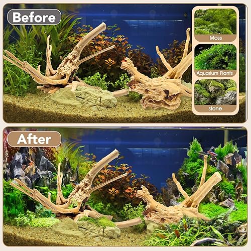 Vista 17 de Madera flotante de madera de araña grande natural para decoración de acuario Rptile pecera decoración Assort rama 7-11 pulgadas, 3 piezas