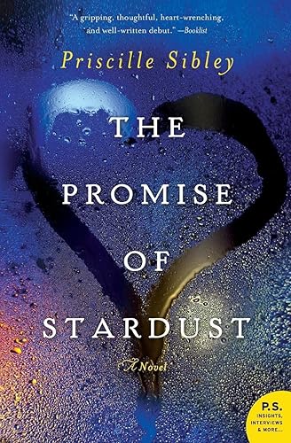 The Promise of Stardust: A Novel