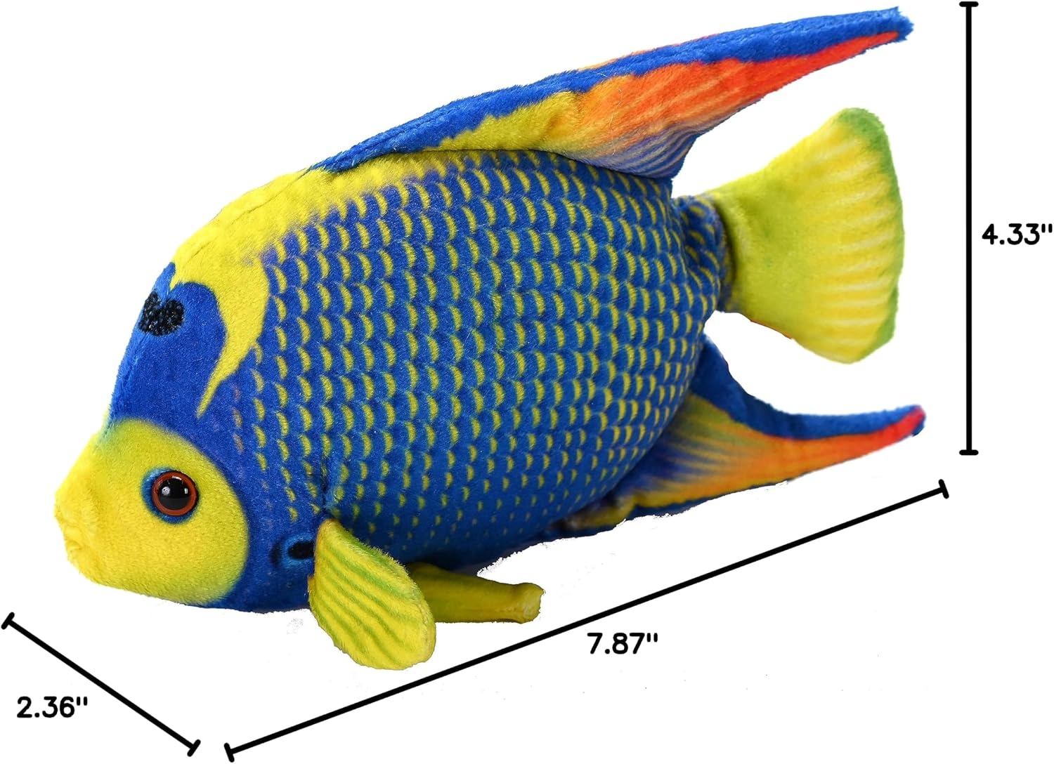 Wild Republic Coral Reef, Queen Angelfish, Stuffed Animal, 6 inches, Gift for Kids, Plush Toy, Fill is Spun Recycled Water Bottles