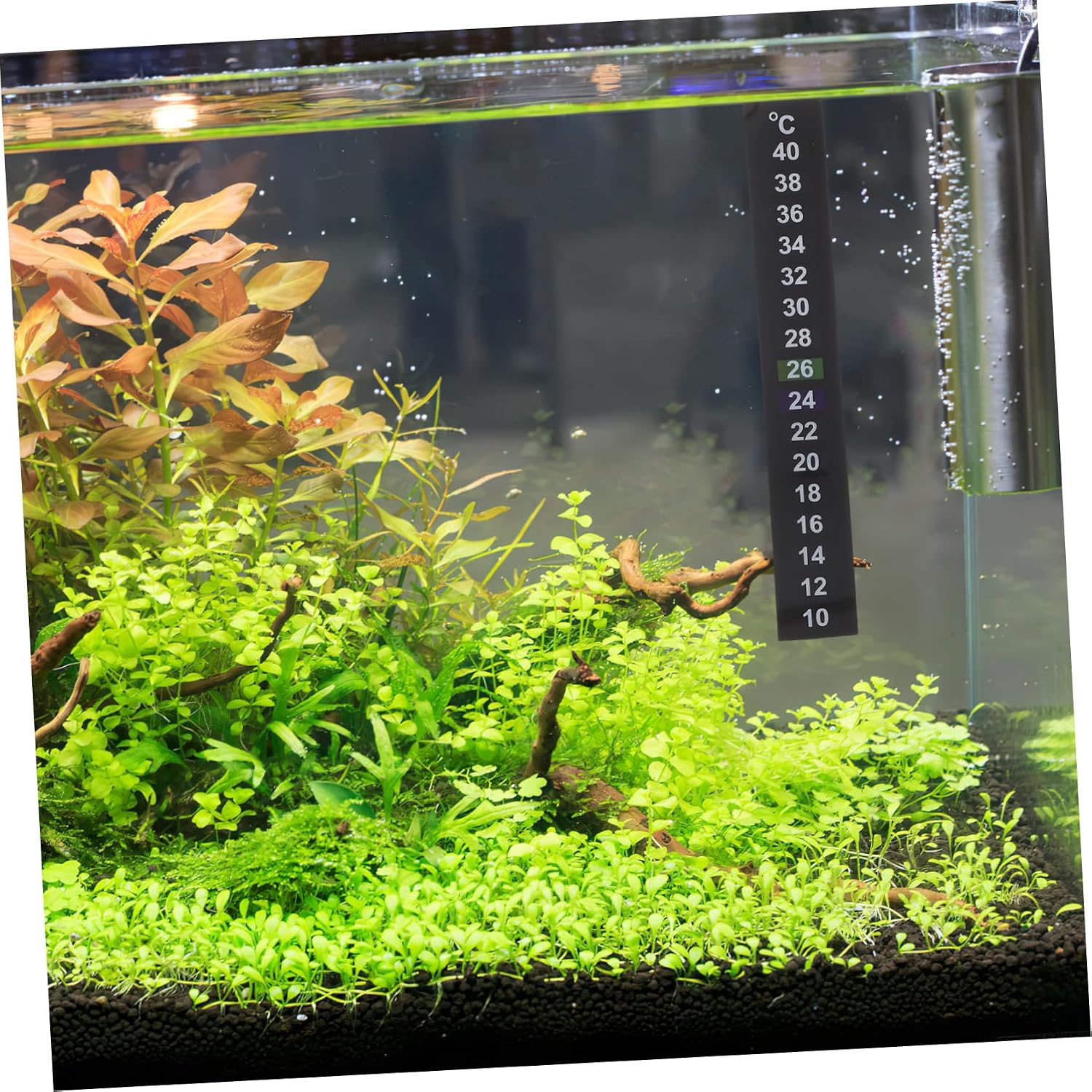 Yardwe 40pcs Aquarium Thermometer Stickers Temperature Strips Adhesive Liquid Fish Tank Thermometers Safe and Practical for Brewing and Aquatic Use