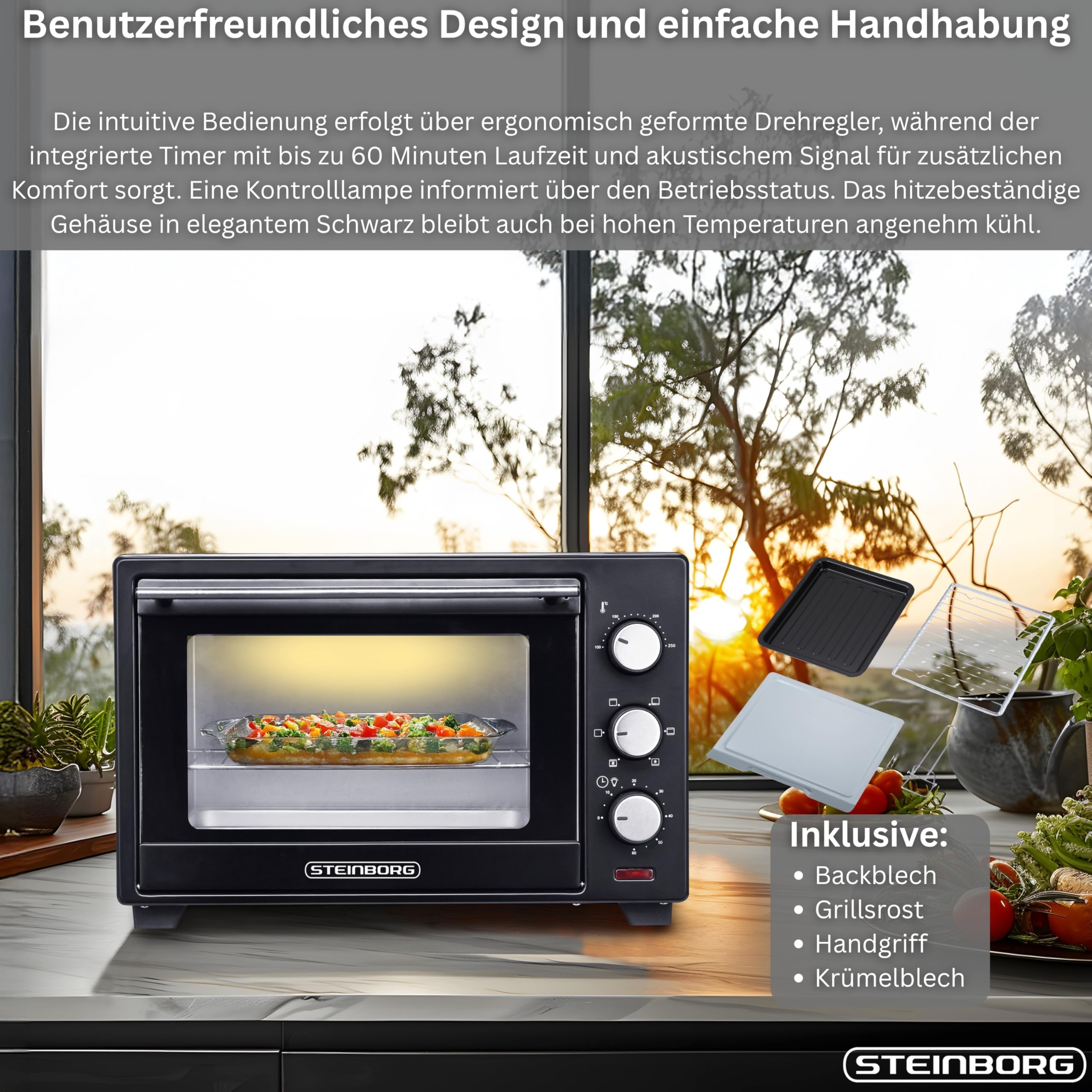 Steinborg® 25 Liter Mini Backofen mit Umluft Pizza Ofen inkl. Backblech und Grillrost Miniofen 60 Min. Timer – 1.600 Watt