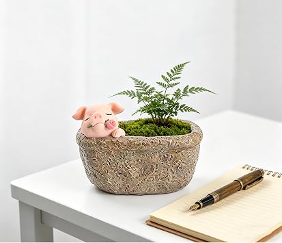 Cute Pig Gift Home Decor Pot, Succulent Planter Flowerpot Decor for Home Garden Office Desk Ormament, Fairy Garden Gift for Women Men