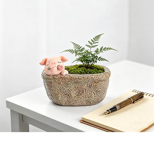 Cute Pig Gift Home Decor Pot, Succulent Planter Flowerpot Decor