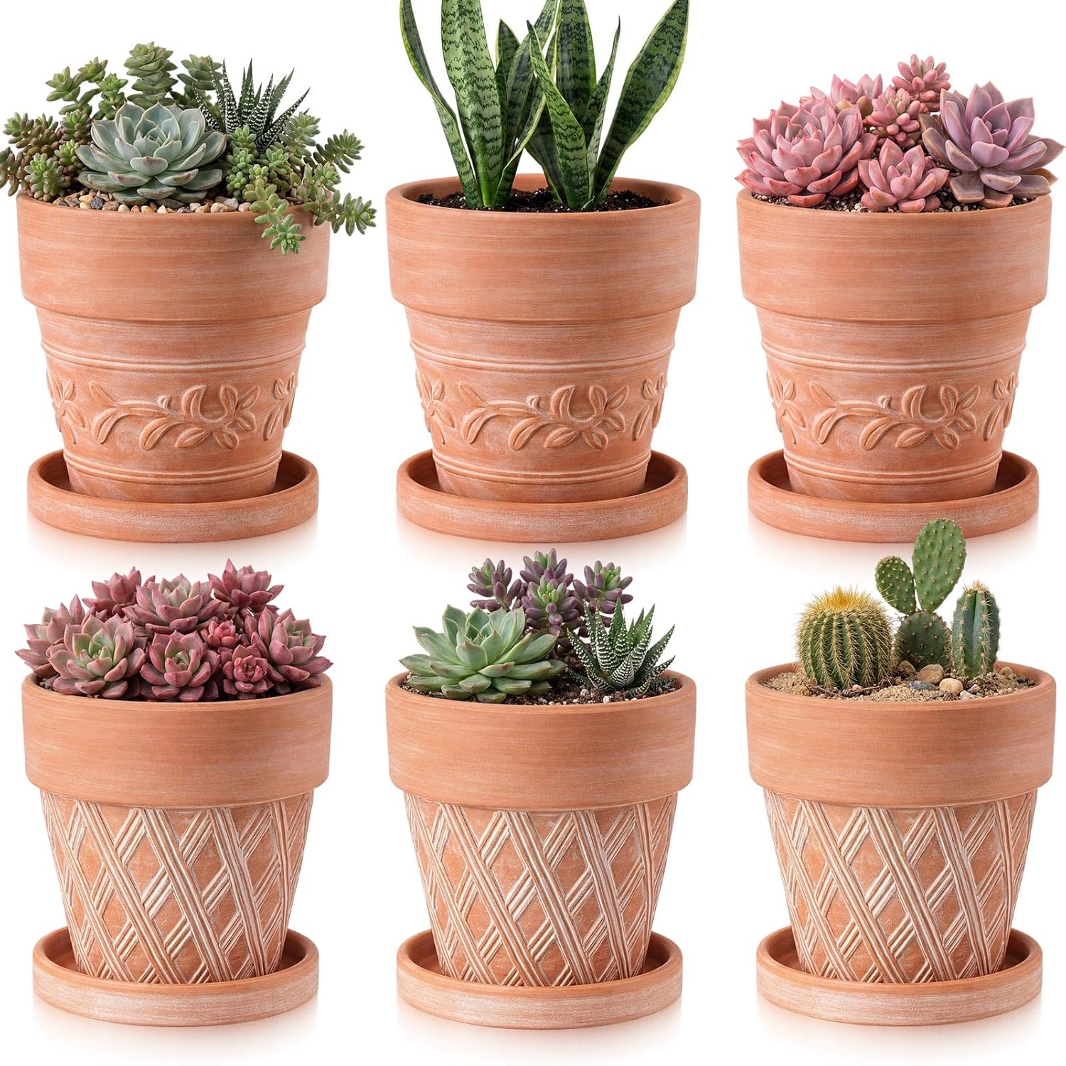 Maxdot Set of 6 Embossed Succulent Pots 4" Small Terracotta Pots with Drainage Hole Saucer Mini Rustic Clay Succulent Planter Pot Decorative Ceramic Cactu Flower Pot for Indoor Outdoor(Lattice Leaf)