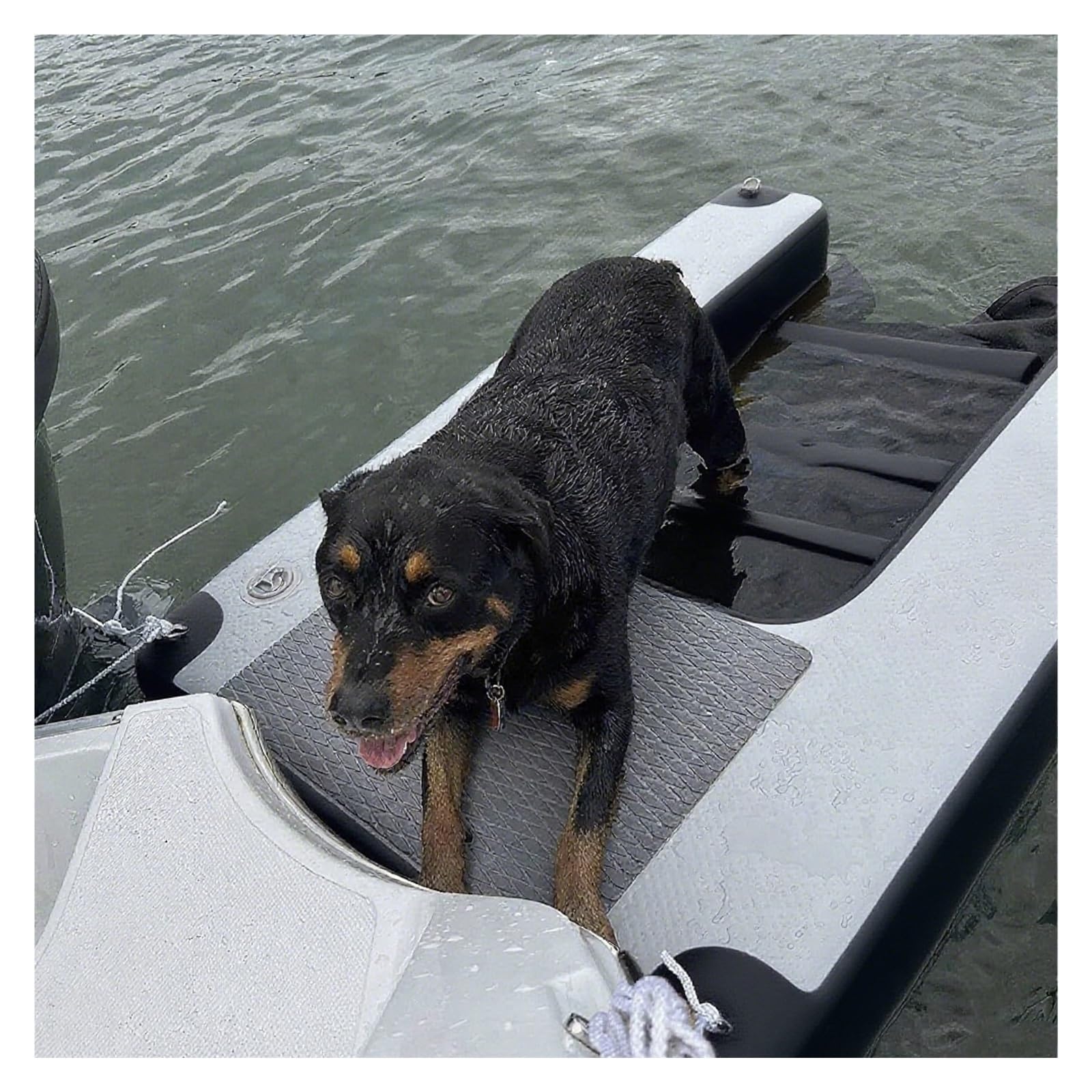 MZZKFC Foldable Dog Water Exit Ramp Load 232lbs，Inflatable Dog Floating Dock for Lakes Docks Boats，5ft Large Dogs Floating Ramp with EVA Anti Slip Pad & Pump(Black)