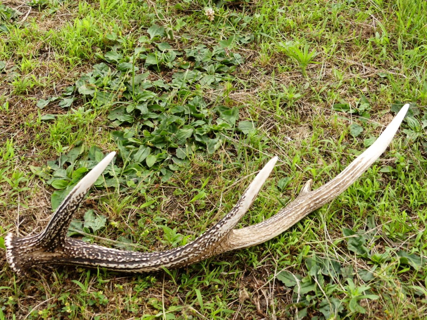 手軽に持ち出せるのがいいですね。