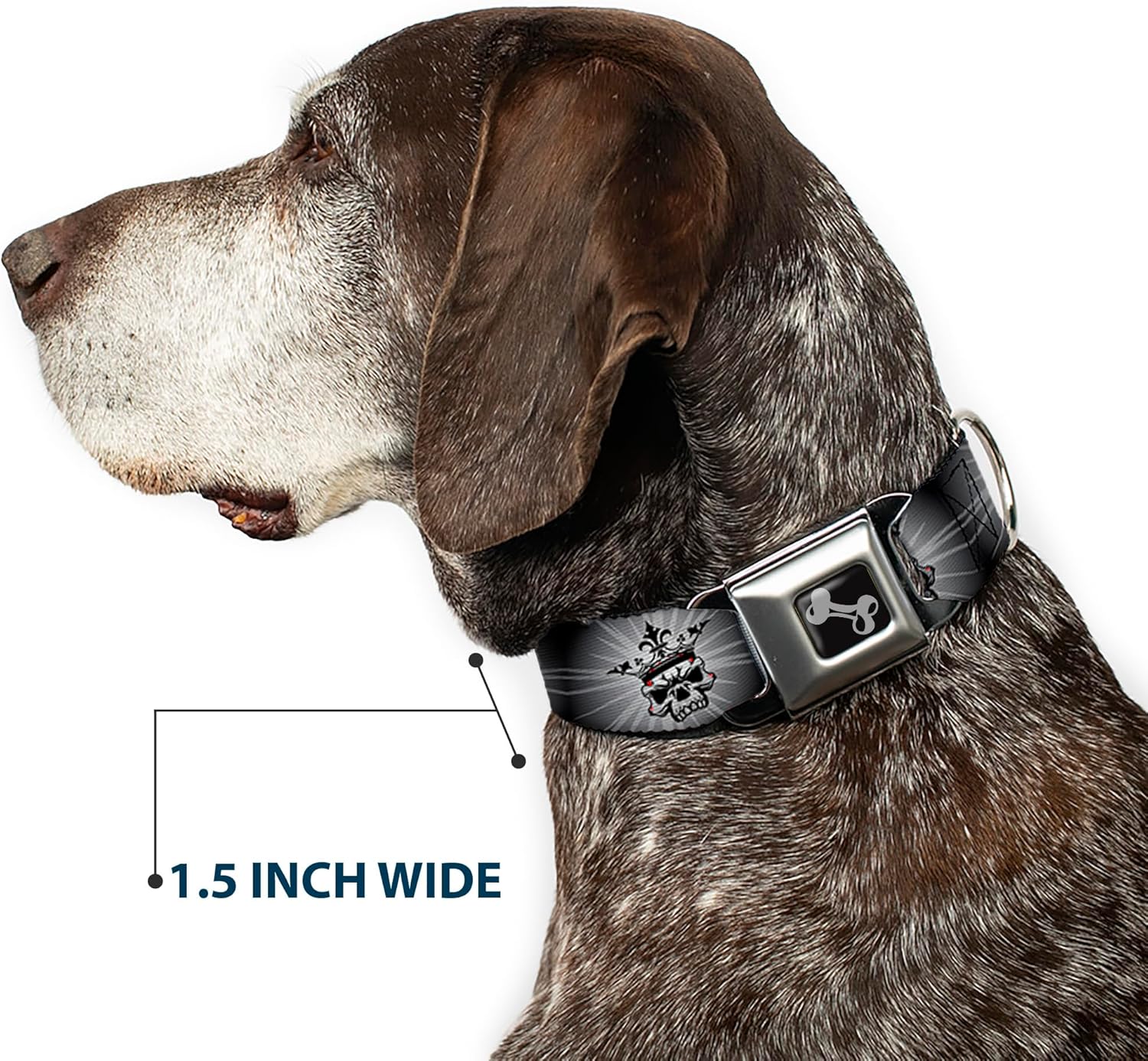 Buckle-Down Dog Collar Seatbelt Buckle King Skull Blocks Rays Grays Available In Adjustable Sizes For Small Medium Large Dogs, 1.5" Wide - Fits 18-32" Neck - Large