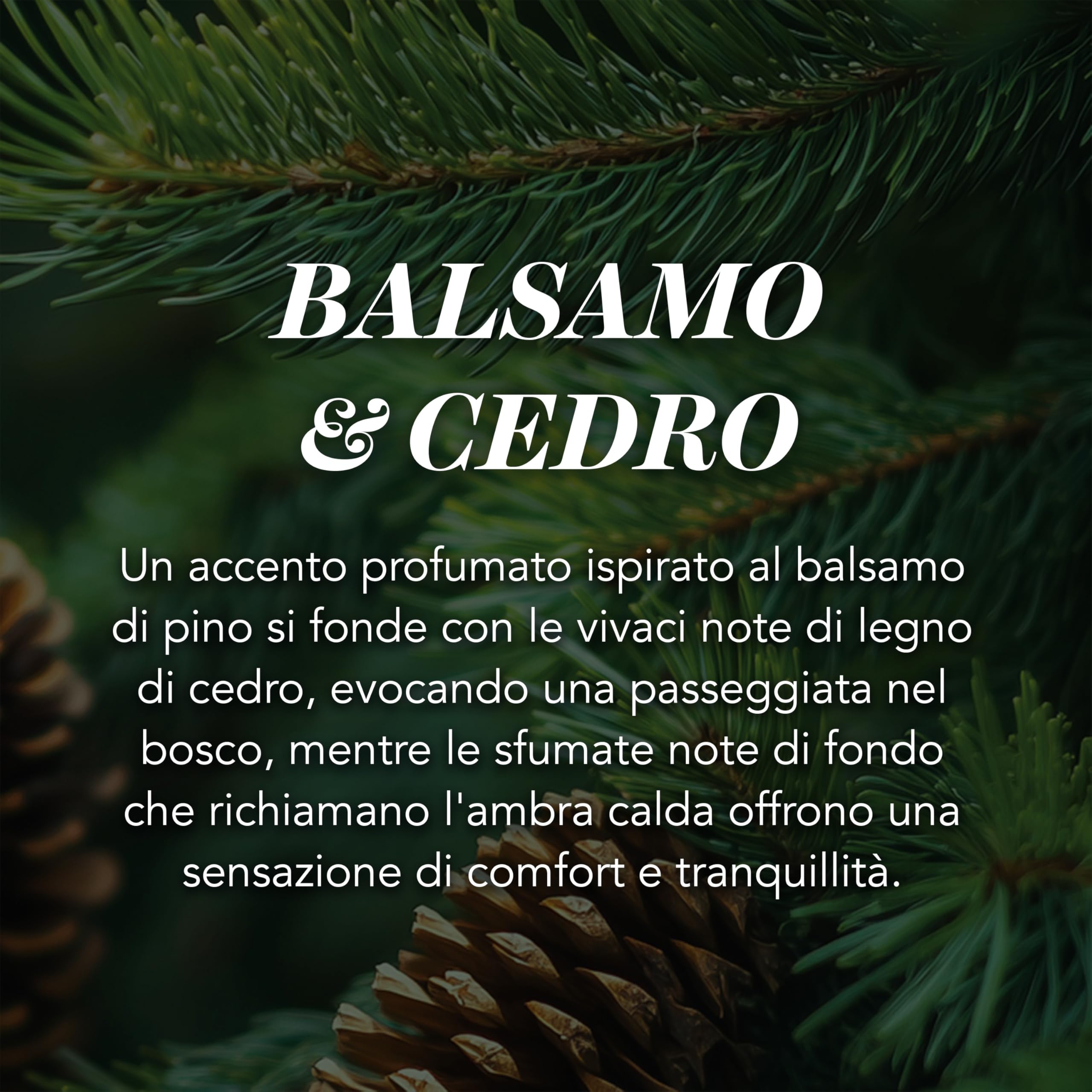 Yankee Candle Candela profumata in giara grande, Balsam & Cedar, Durata Fino a 150 Ore, Regali ottimi per le donne