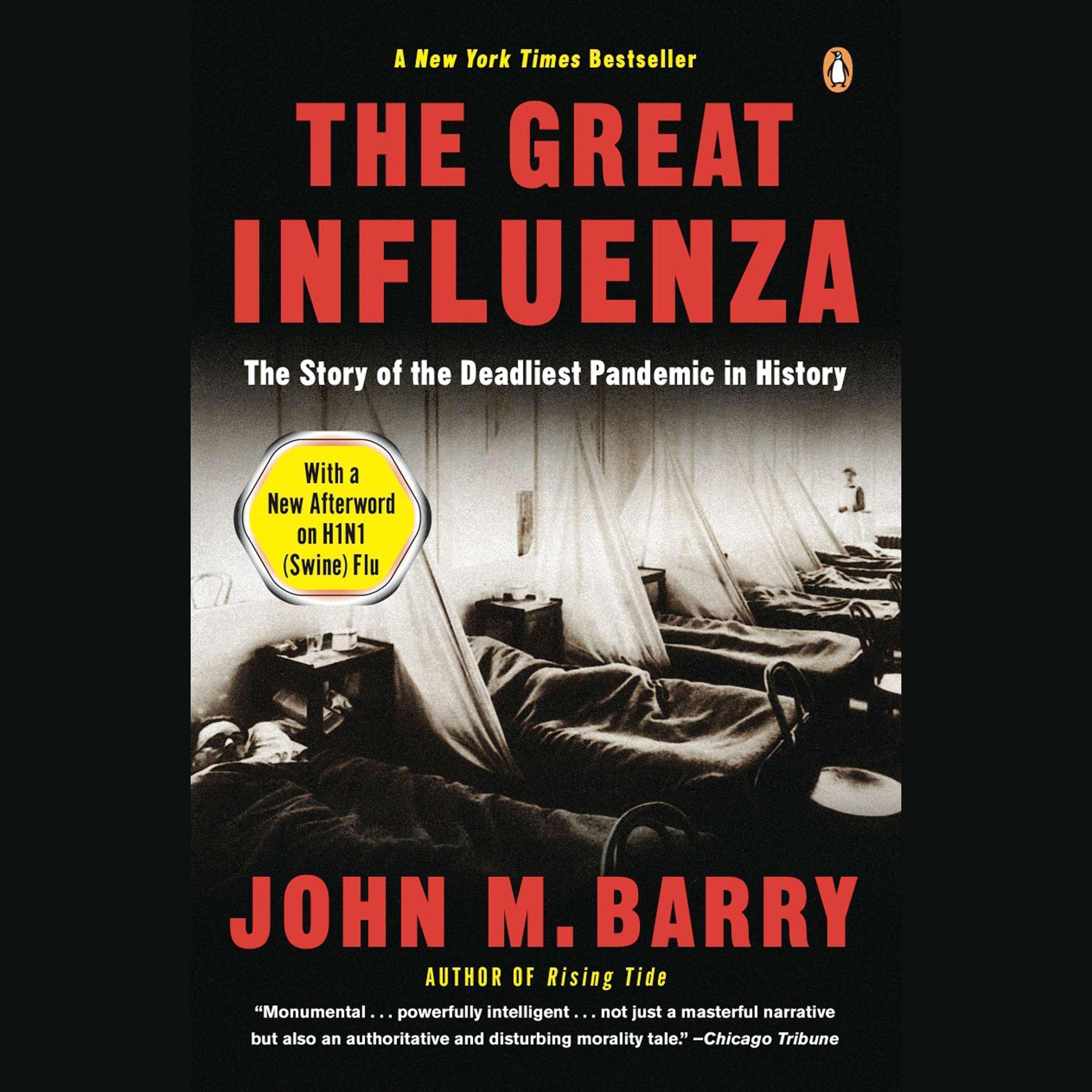 The Great Influenza