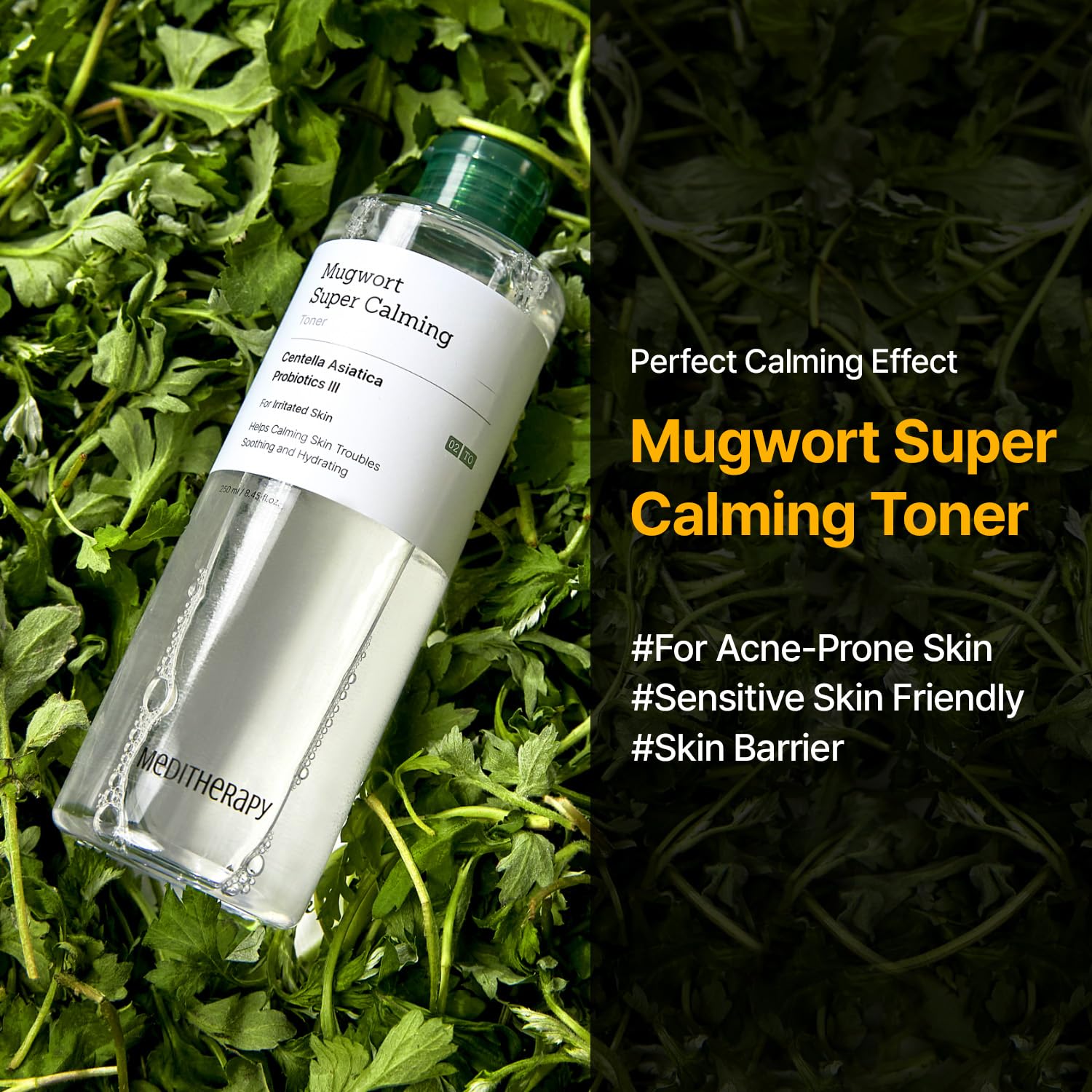 Amazon.com: MEDITHERAPY Mugwort Super Calming Toner - Korean