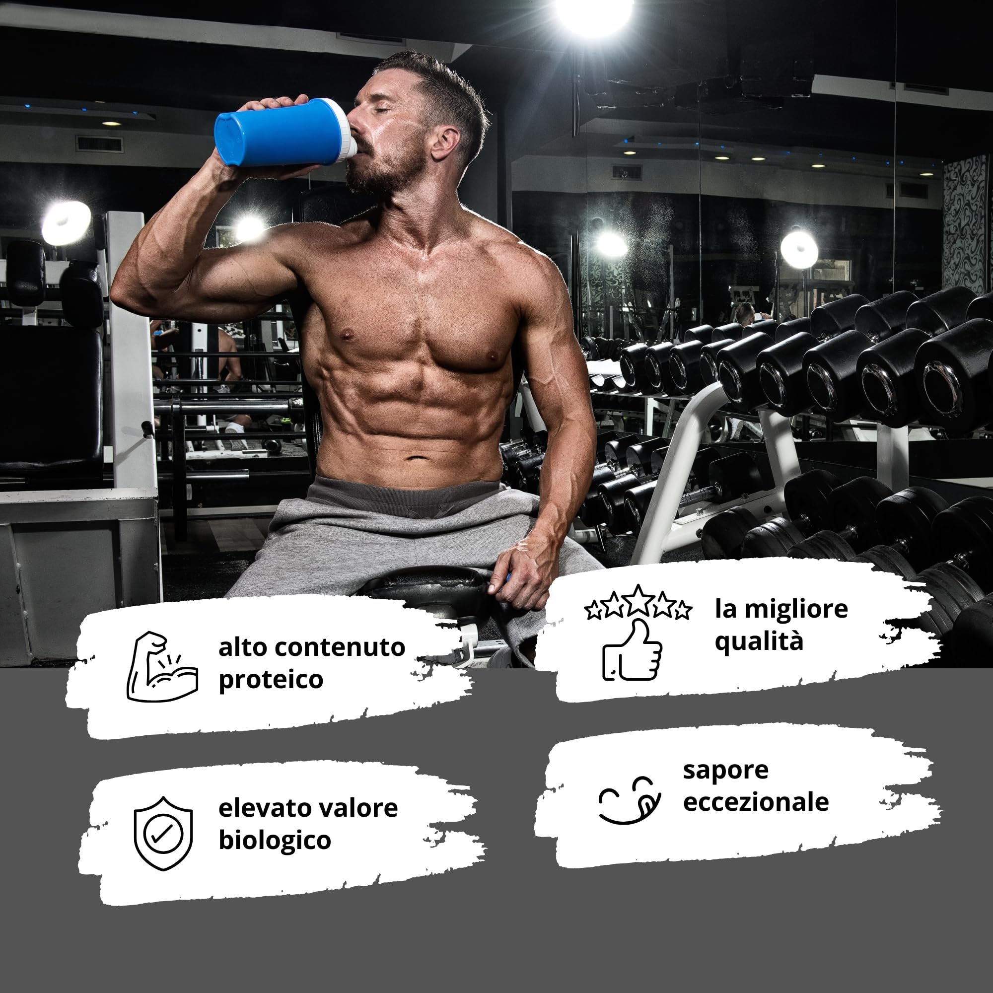Alphatier Proteine in Polvere con BCAA + EAA - Cheesecake 1000 g - Miscela proteica - 79% di Contenuto proteico - Protein Powder Lemon Cheesecake - Isolato proteico di Soia con Aminoacidi