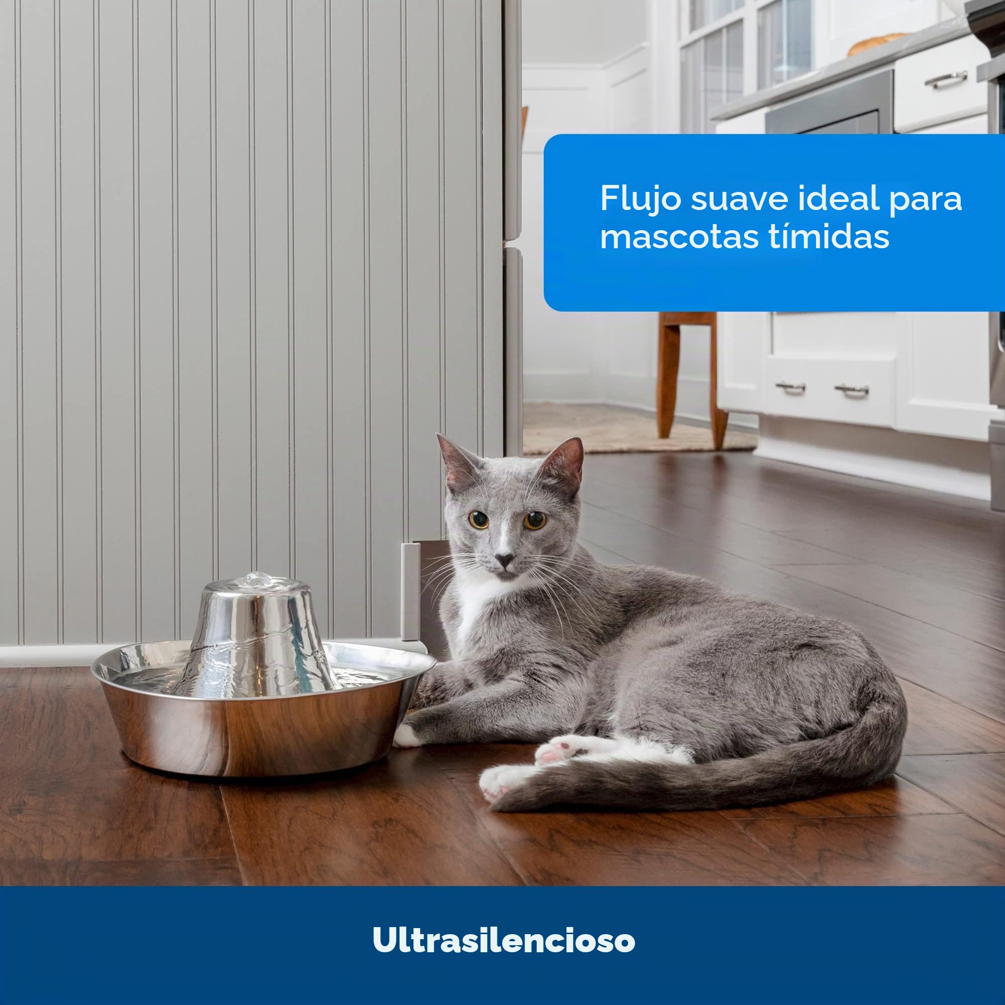 PetSafe Seaside Pet Waterfontein, Capacidad de Agua de 1,8 l, Fuente de Acero Inoxidable para Gatos, Ayuda a prevenir el acné en Las Mascotas, Material Resistente a los arañazos y la oxidación