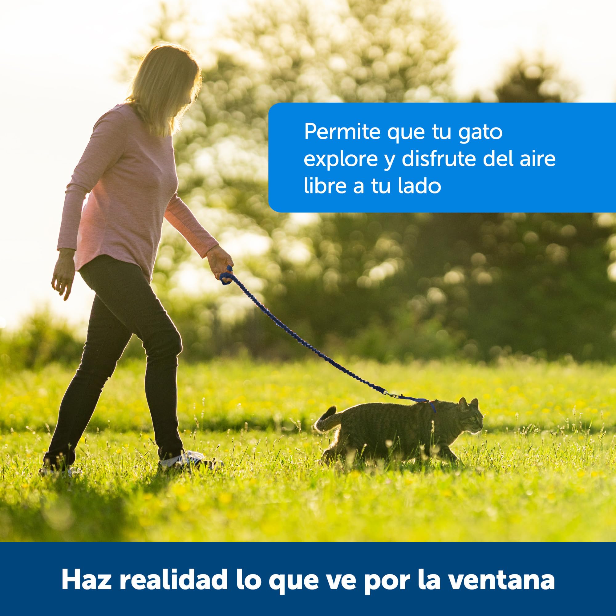 Amazon.co.jp: PetSafe Easy Walk Cat Harness & Bungee Lead, For