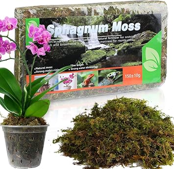 Doter Dried Forest Moss for Plants 5 qt / 1 Pack, Sphagnum Potting Moss for Various Plants, Including Orchids, Carnivorous Plants, Succulents, Garden Flowers, and Reptiles
