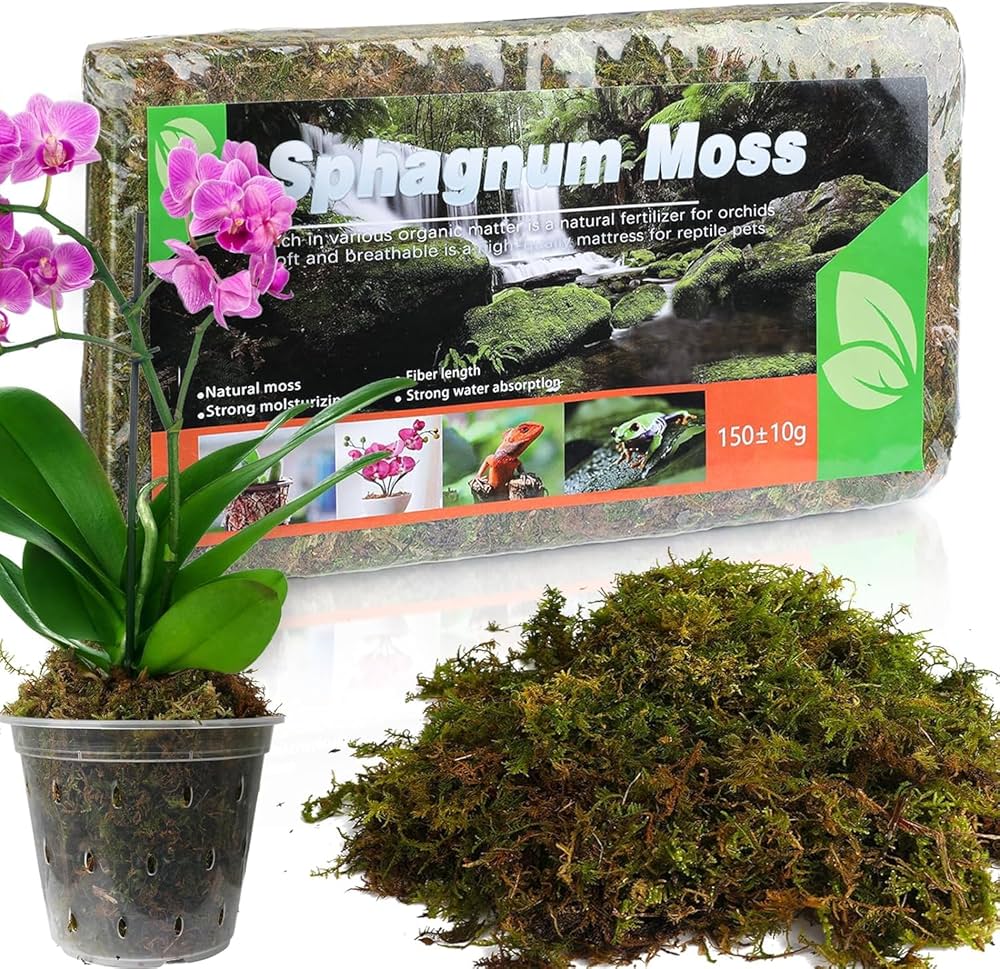 Bearded Dragon Tank Accessories 5 Quarts Of Natural Sphagnum Moss For Indoor Plants - Ideal Moist Repotting Medium For Orchids And Terrariums - Perfect For Reptile Habitats And Decor Moss For Plants Indoor