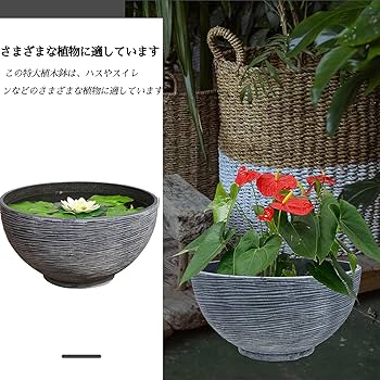 Amazon.co.jp: 金魚鉢 頑丈 メダカ 鉢 おしゃれ 水耕植木鉢 睡蓮
