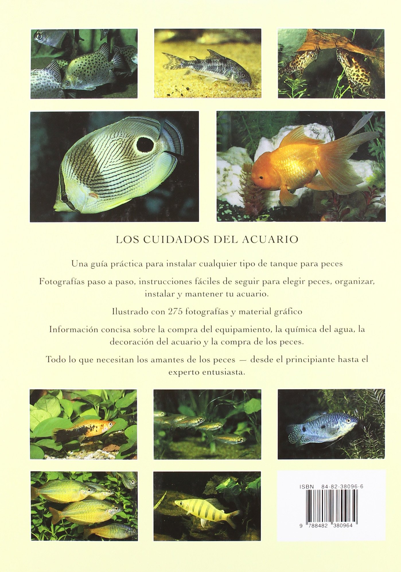 Los Cuidados Del Acuario/Caring for Your Aquarium