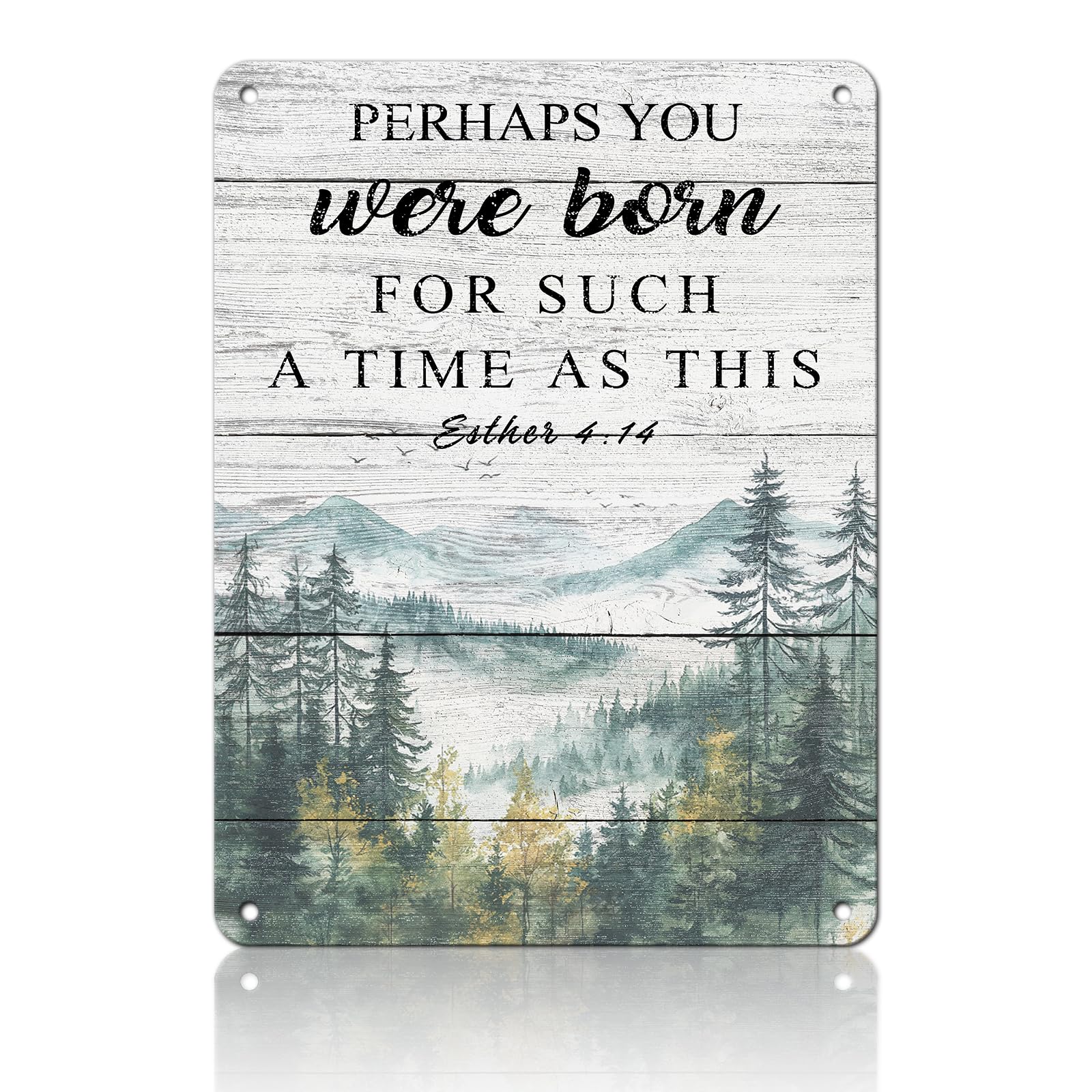 Anceky Perhaps You Were Born for Such A Time as This Metal Sign Funny Tin Sign Wall Decor for Farmhouse Kitchen Home Yard Cafe 12×16 Inch