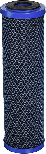 Pentek Filtro de carbono 255674-43