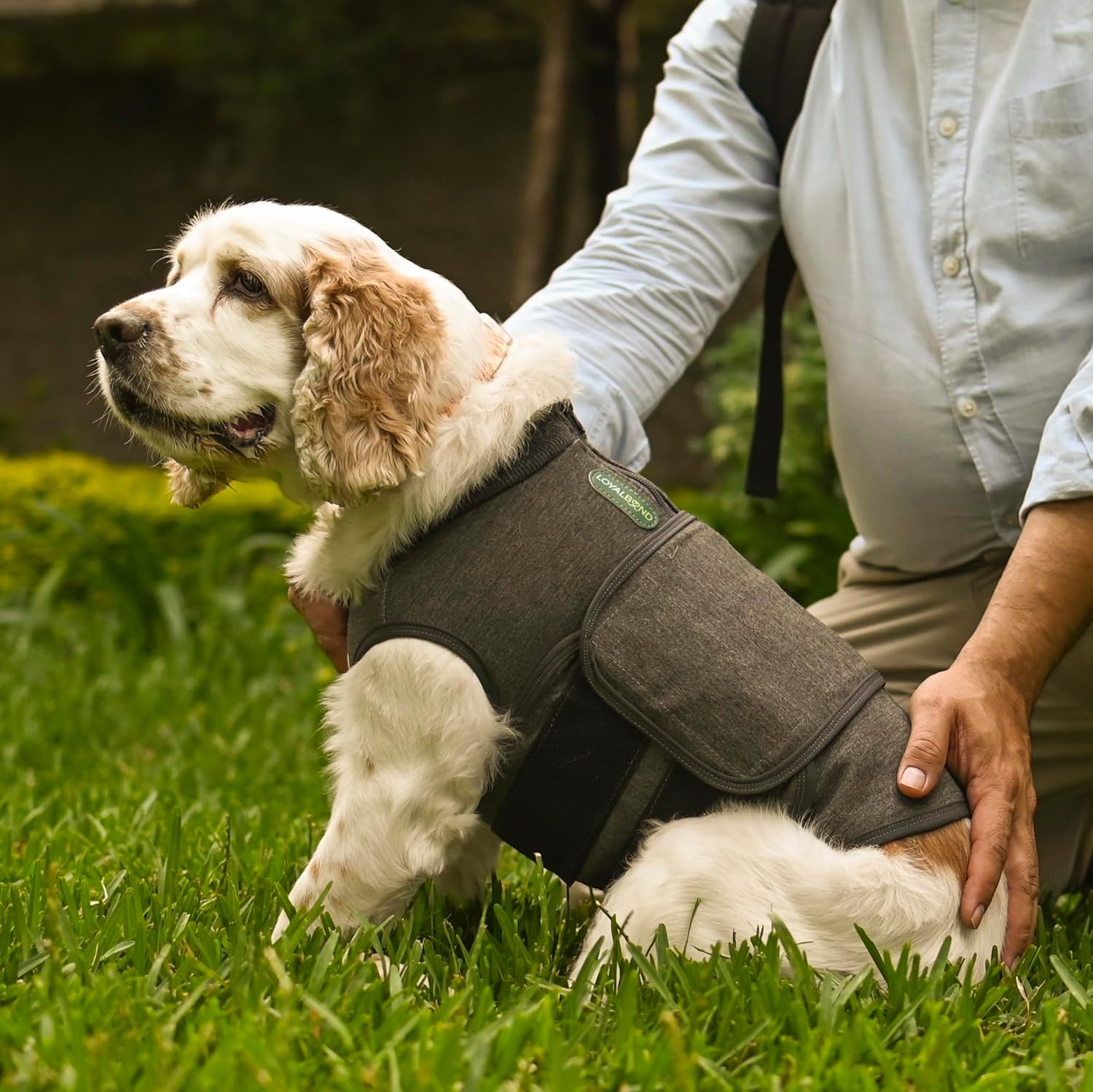 Calming Vest: Anxiety and Stress Relief for Dogs - Dog Anxiety Relief Calming Vest (Medium), Gray