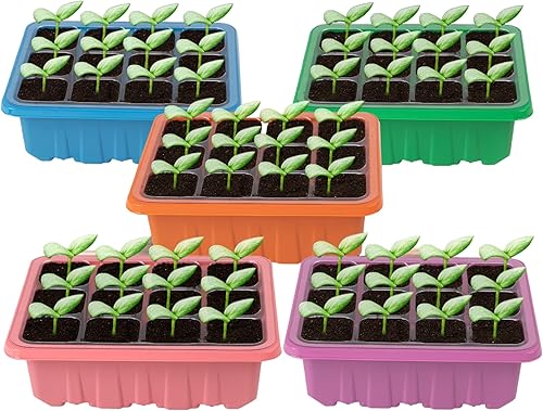 Miniatura 2 de Trendily Inspired Paquete de 10 bandejas de inicio de semillas con cúpula - Kit de inicio de semillas de plástico, bandeja de plántulas de 12 celdas