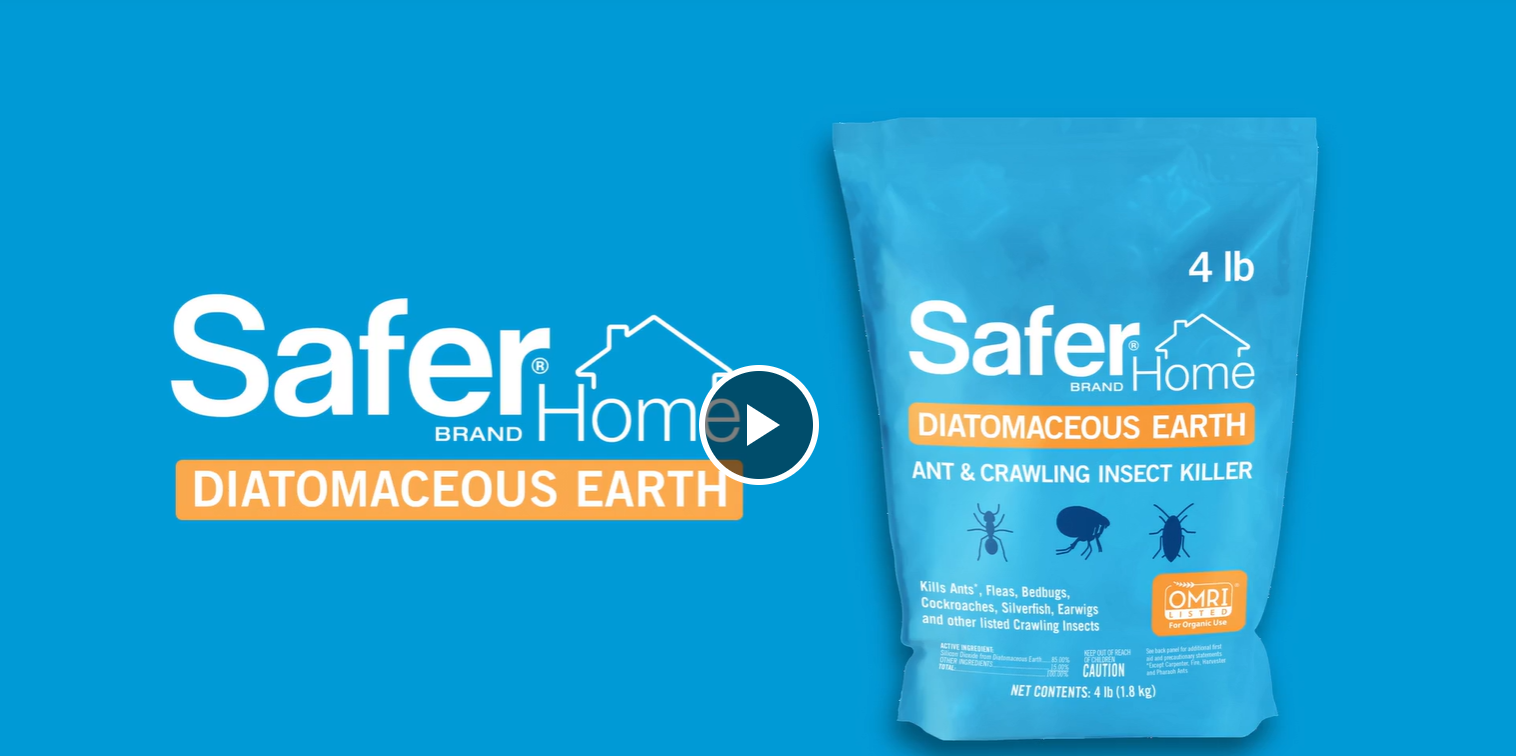 Amazon.com : Safer Home Diatomaceous Earth 4 lb Organic OMRI DE