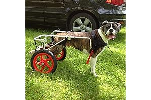 Ultimate Dog Mobility Solution: Large Dog Stroller for 100 lbs Canine Companions