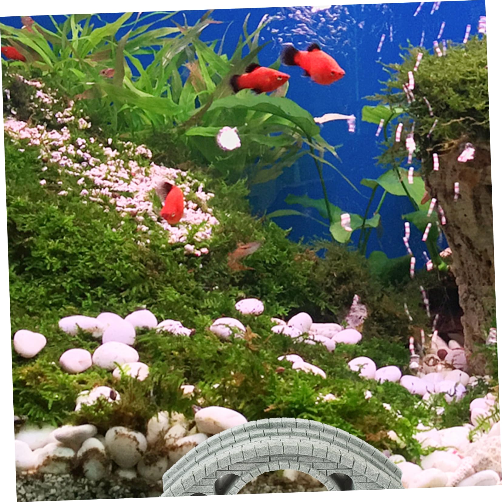 HEMOTON 4 Pièces Miniature Pont Arqué pour Décoration de Ornement Aquatique Durable pour Aquarium Jardin