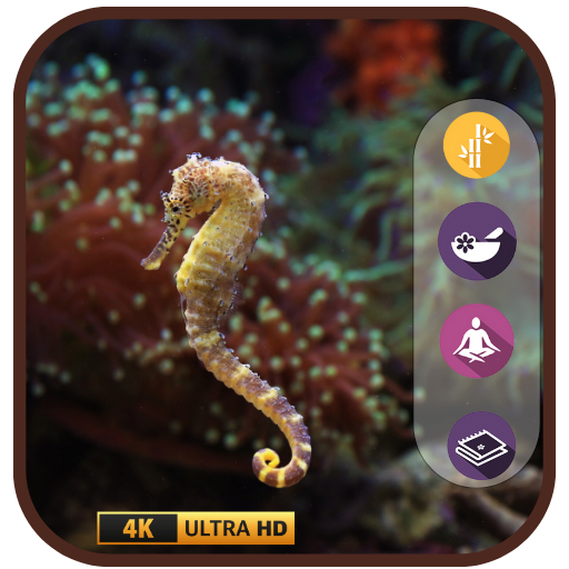 Seahorse Aquarium: fascinante protector de pantalla del océano