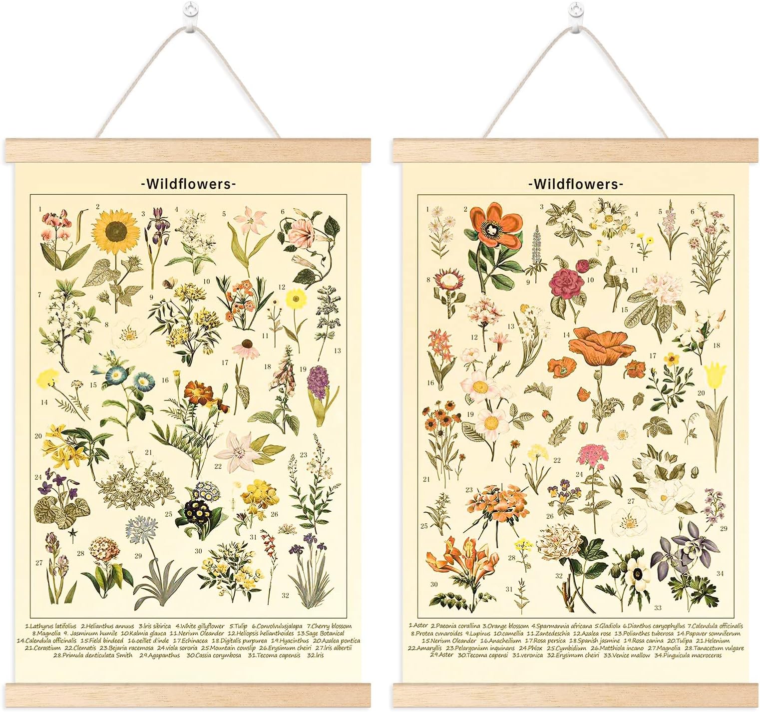 Chenkaiyang 2 Pcs Vintage Hanging Poster,Flowers Wall Hanging Botanical Rustic Retro Wall Art Prints Flower Chart Posterfor Living Room Decor,12.7 X 21.6 Inch
