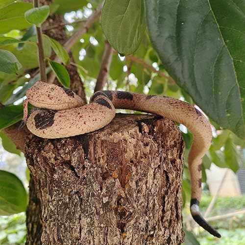 Miniatura 2 de SCAHOW Juguetes de serpiente falsa, figura de serpiente de goma suave realista que asusta a pájaros y ardillas, figuras de juguete de serpiente de