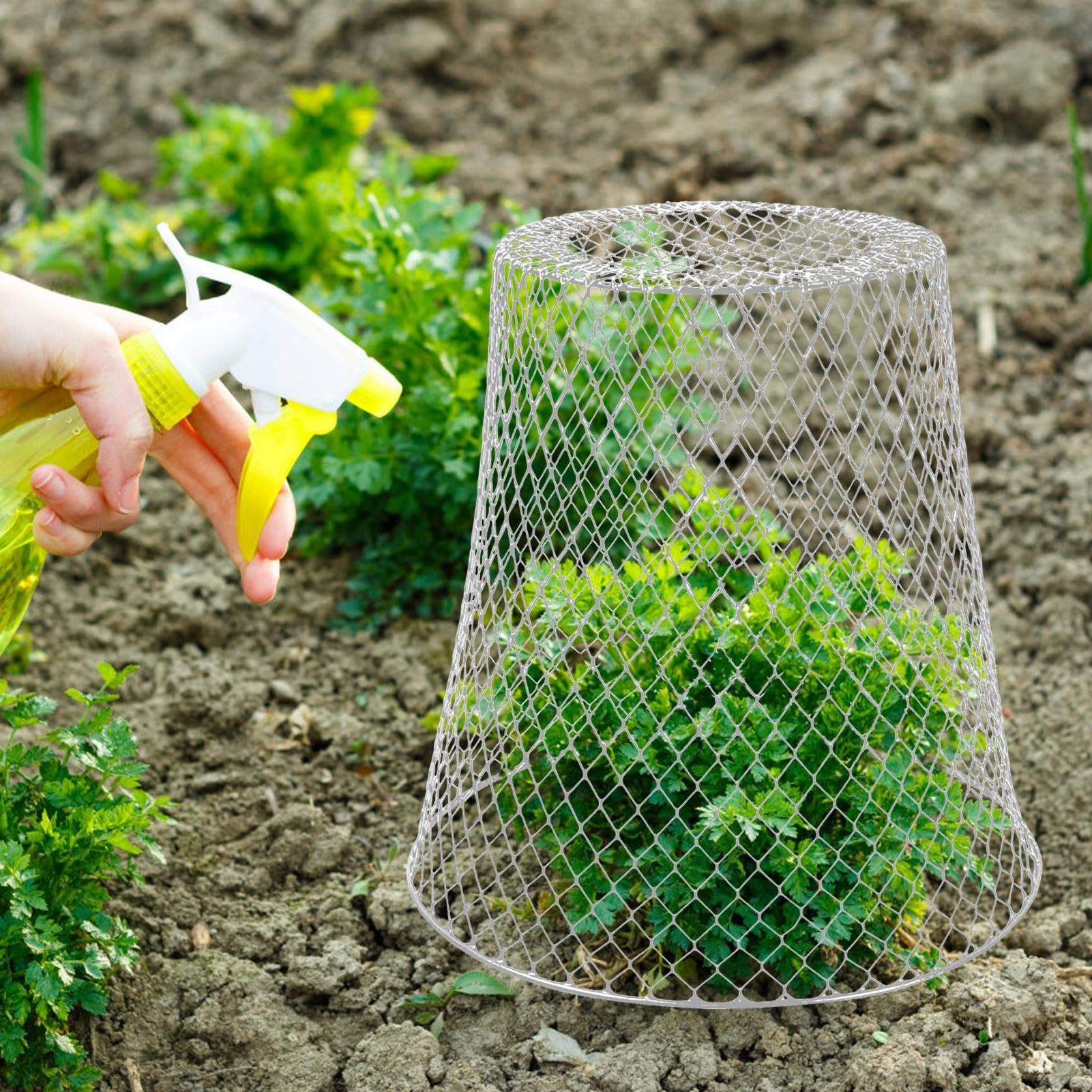 Cloches de jardin pour les 5 Pièces Barrière Anti-Animal Clôture Métallique
