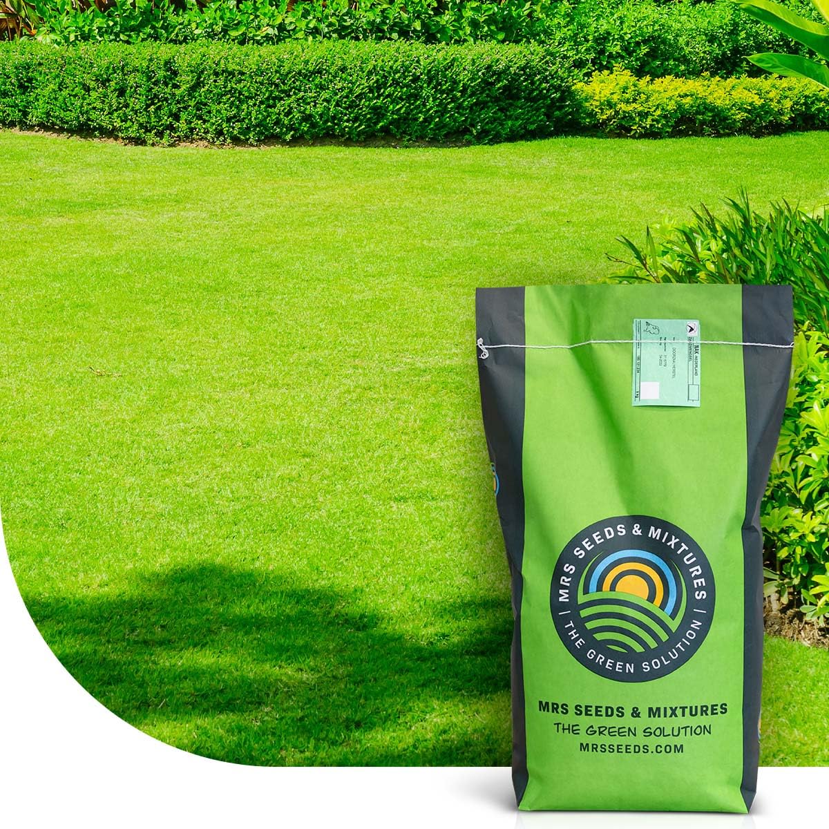MRS Green Perfection Semences de gazon d'ornement 1 kg pour 50 m²