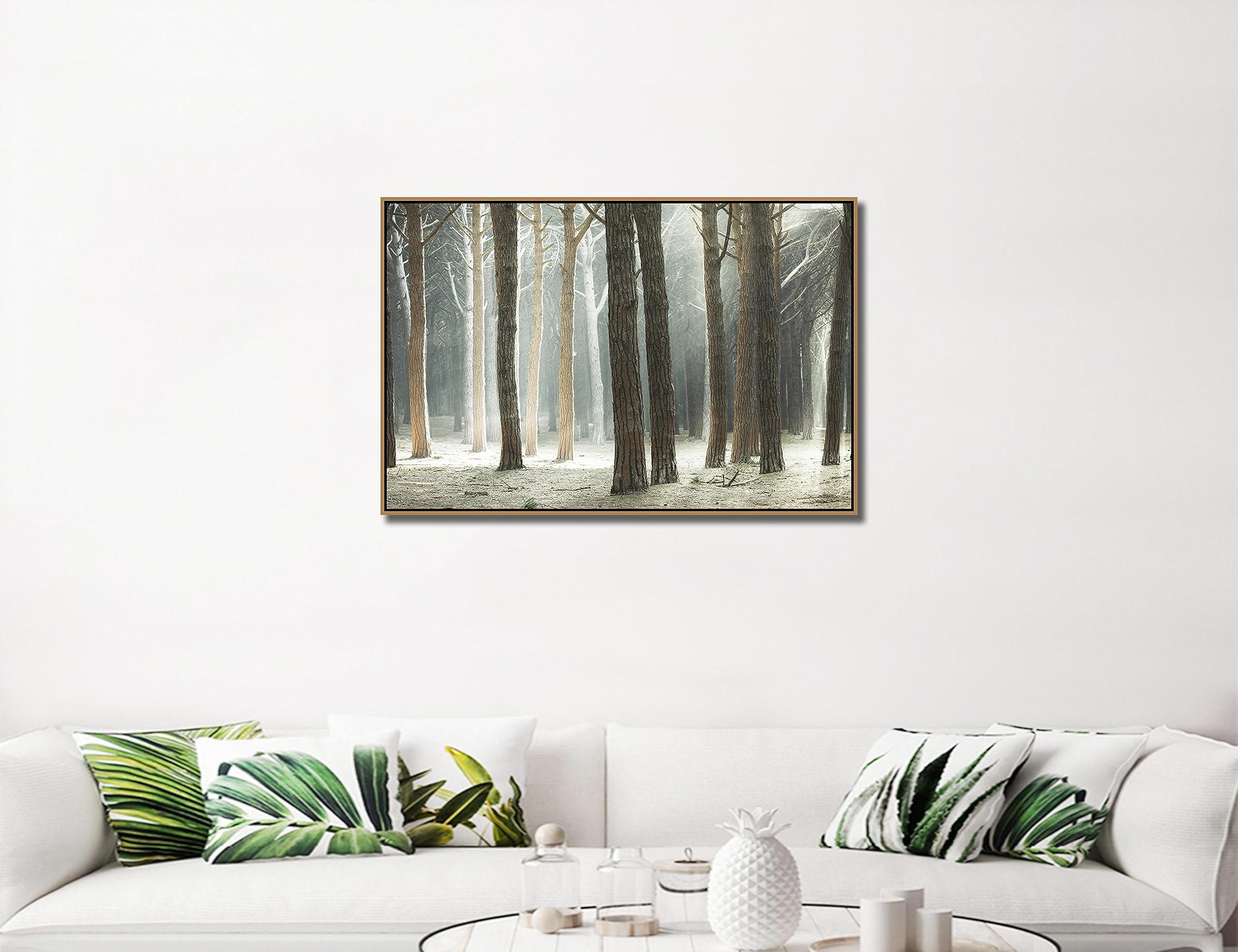 Set Di 3 Stampe Artistiche Su Tela – Paesaggio Acquerello Con Alberi E Foreste – 61x91 Cm Cad. – Moderno, Senza Cornice - 3