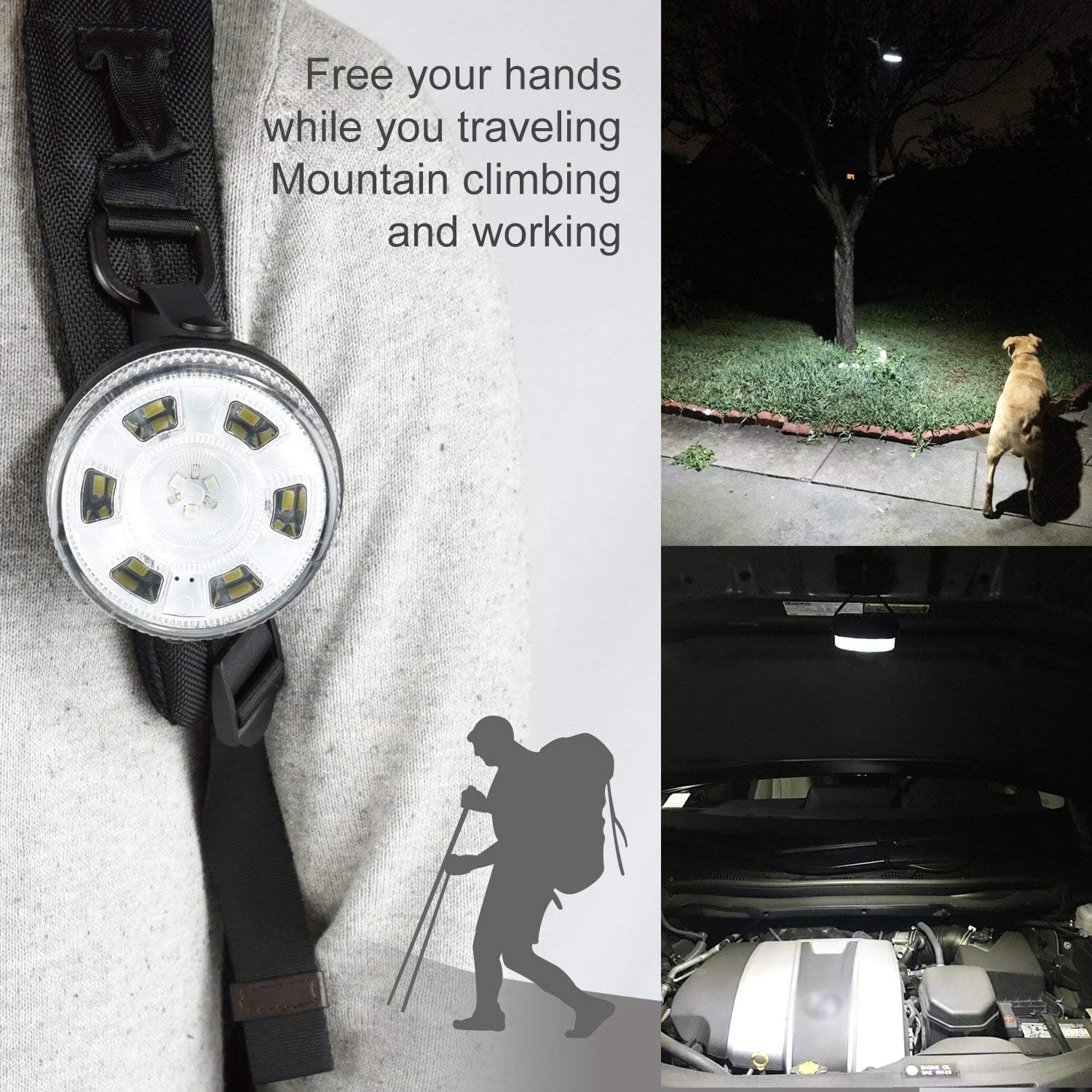Etekcity Camping LED Lantern Portable Rechargeable Mini Emergency Lantern with Magnetic Base, Suit for Fishing, Reading, Hurricane, Storms, Outage, 7 Lighting Modes, 300 Lumens